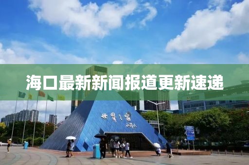 海口最新新闻报道更新速递