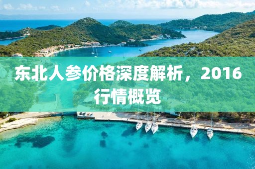 东北人参价格深度解析，2016行情概览