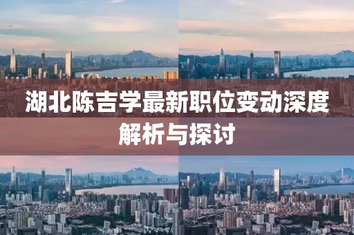 湖北陈吉学最新职位变动深度解析与探讨