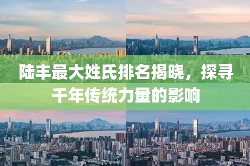 陆丰最大姓氏排名揭晓，探寻千年传统力量的影响