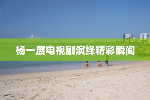 杨一展电视剧演绎精彩瞬间
