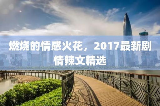 燃烧的情感火花，2017最新剧情辣文精选