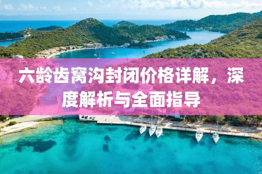 六龄齿窝沟封闭价格详解，深度解析与全面指导