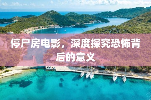 停尸房电影，深度探究恐怖背后的意义