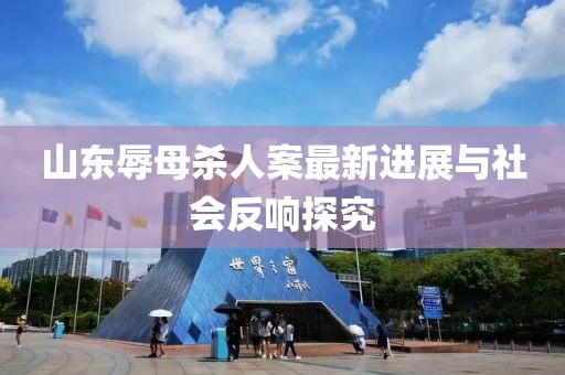 山东辱母杀人案最新进展与社会反响探究