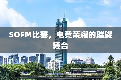 SOFM比赛，电竞荣耀的璀璨舞台