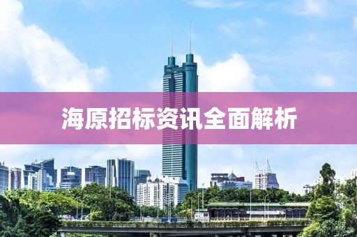 海原招标资讯全面解析