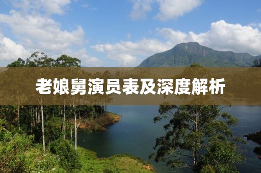 老娘舅演员表及深度解析