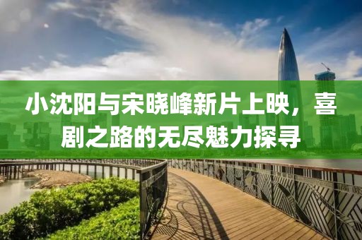 小沈阳与宋晓峰新片上映，喜剧之路的无尽魅力探寻