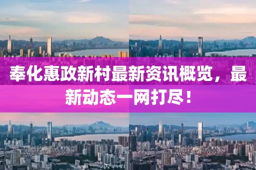 奉化惠政新村最新资讯概览，最新动态一网打尽！