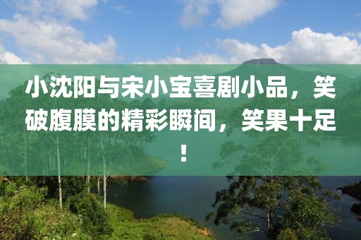 小沈阳与宋小宝喜剧小品，笑破腹膜的精彩瞬间，笑果十足！
