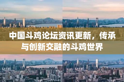 中国斗鸡论坛资讯更新，传承与创新交融的斗鸡世界