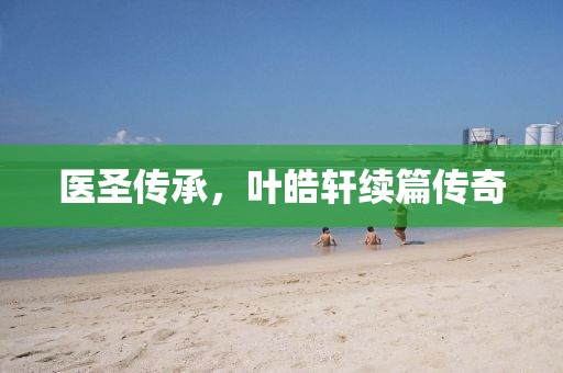 医圣传承，叶皓轩续篇传奇