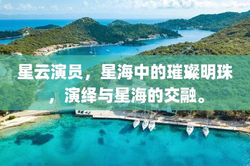 星云演员，星海中的璀璨明珠，演绎与星海的交融。