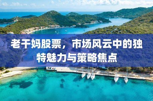 老干妈股票，市场风云中的独特魅力与策略焦点