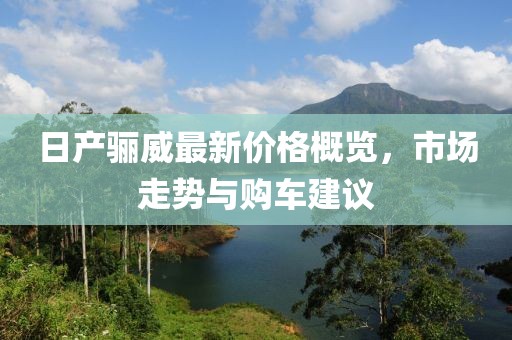 日产骊威最新价格概览，市场走势与购车建议