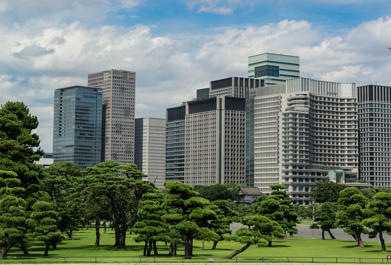 令日股市行情分析与展望，最新动态及趋势预测