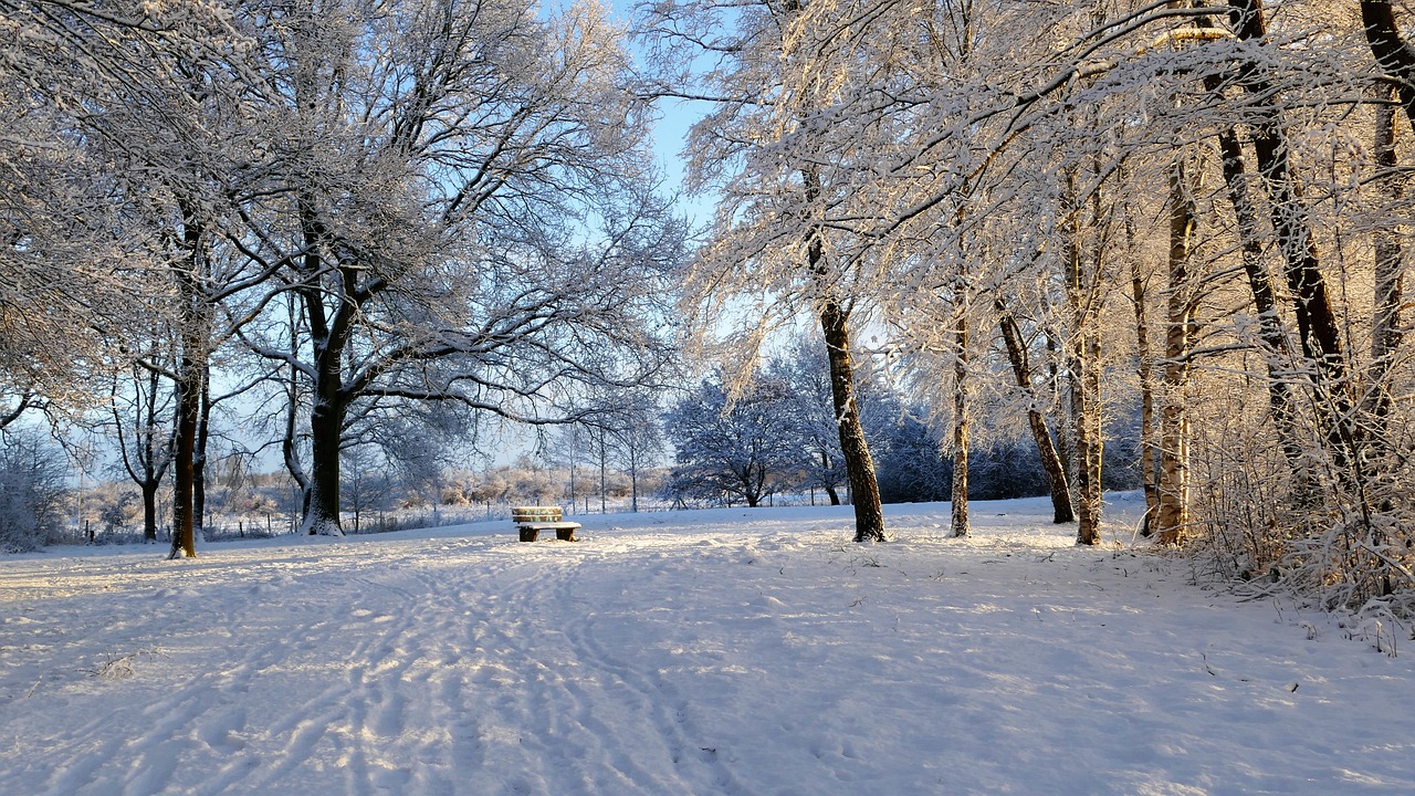 演员缘雪，演绎生涯中的冰雪奇缘之旅