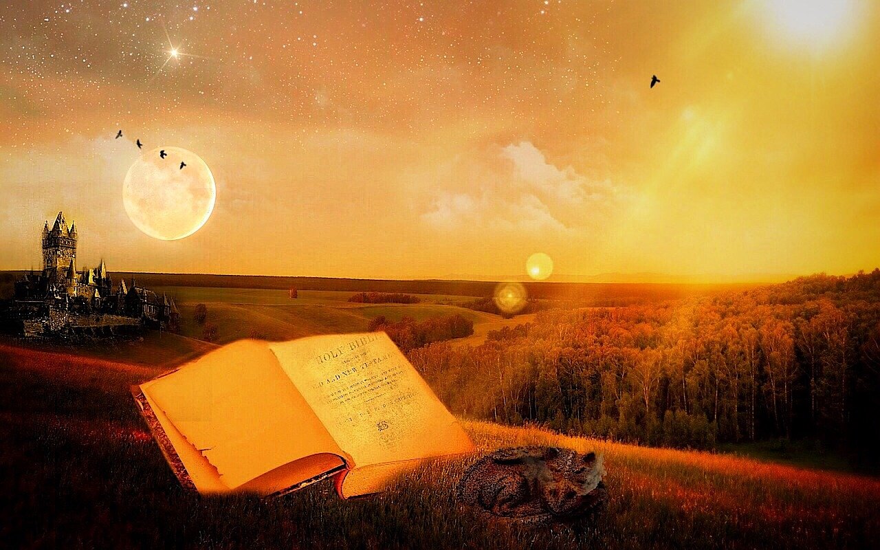 恒星资讯速递，探索宇宙奥秘的最新动态与资讯分享