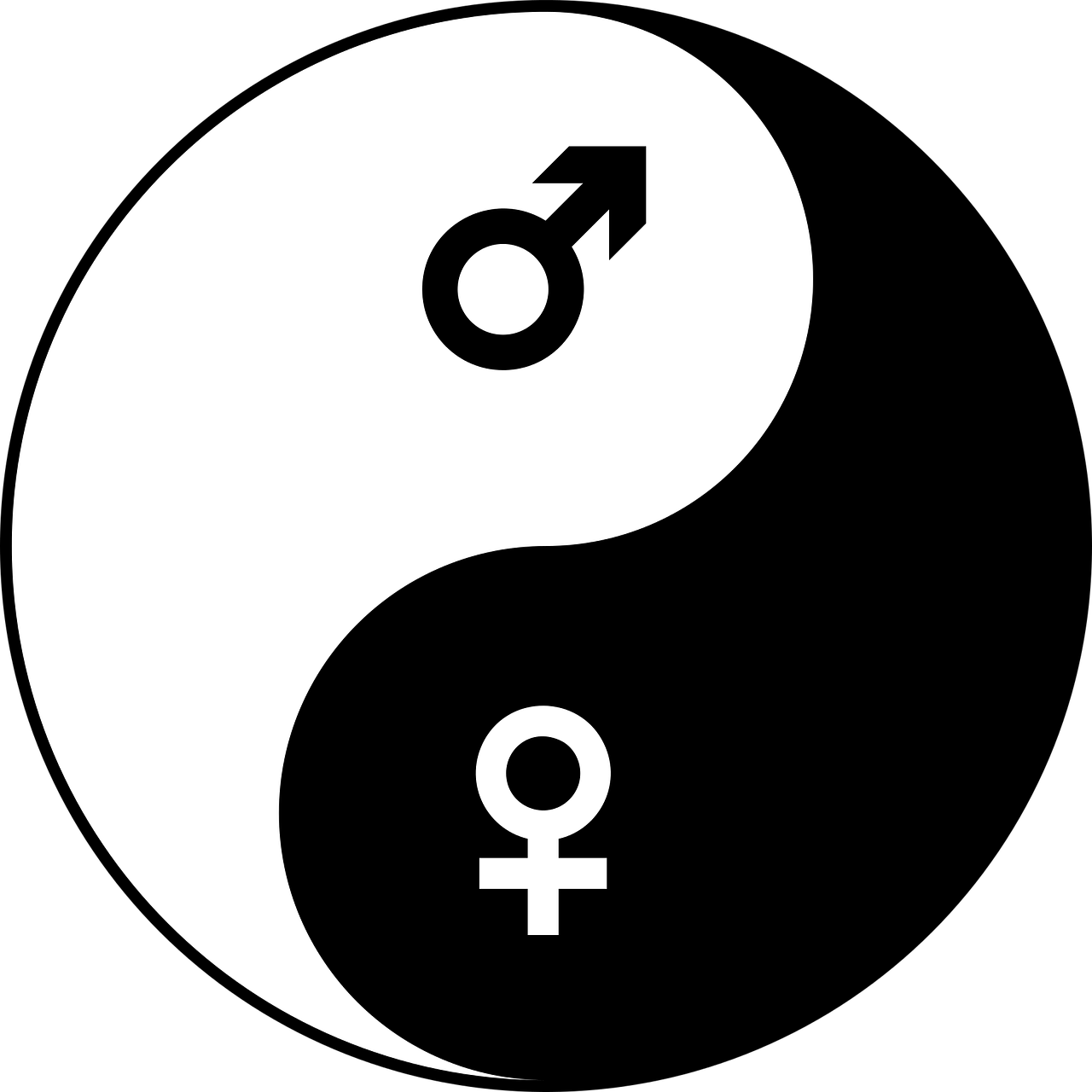 社会变迁中的性别均衡观察，最新男女比例分析