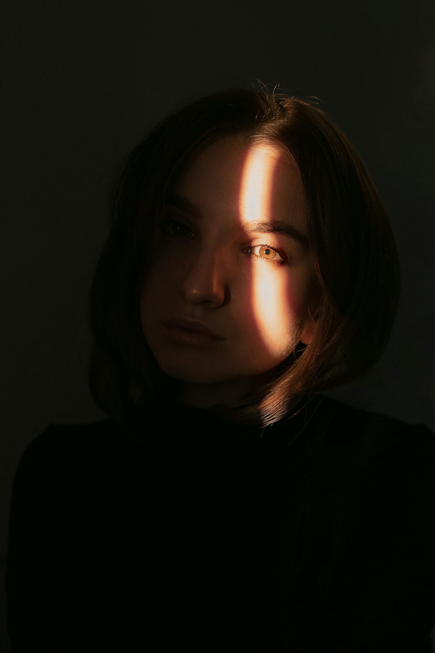 2025年2月 第530页