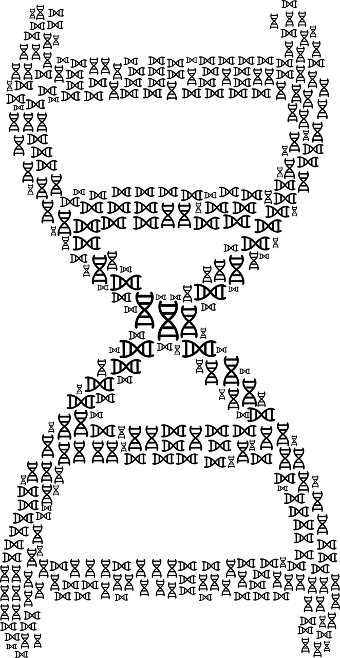赛事规划的艺术与科学，比赛安排表详解