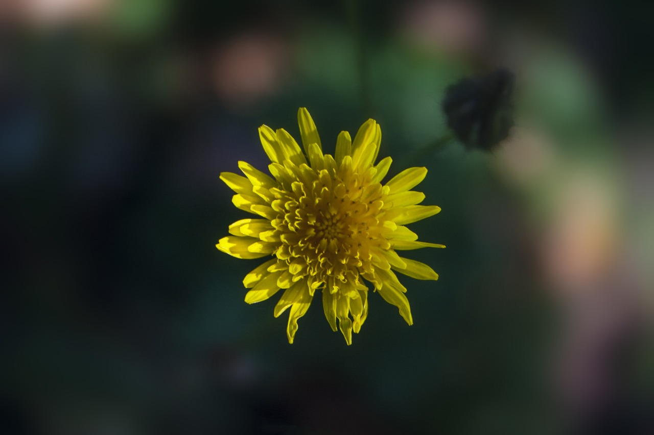 沙市中环城市花园最新动态揭秘