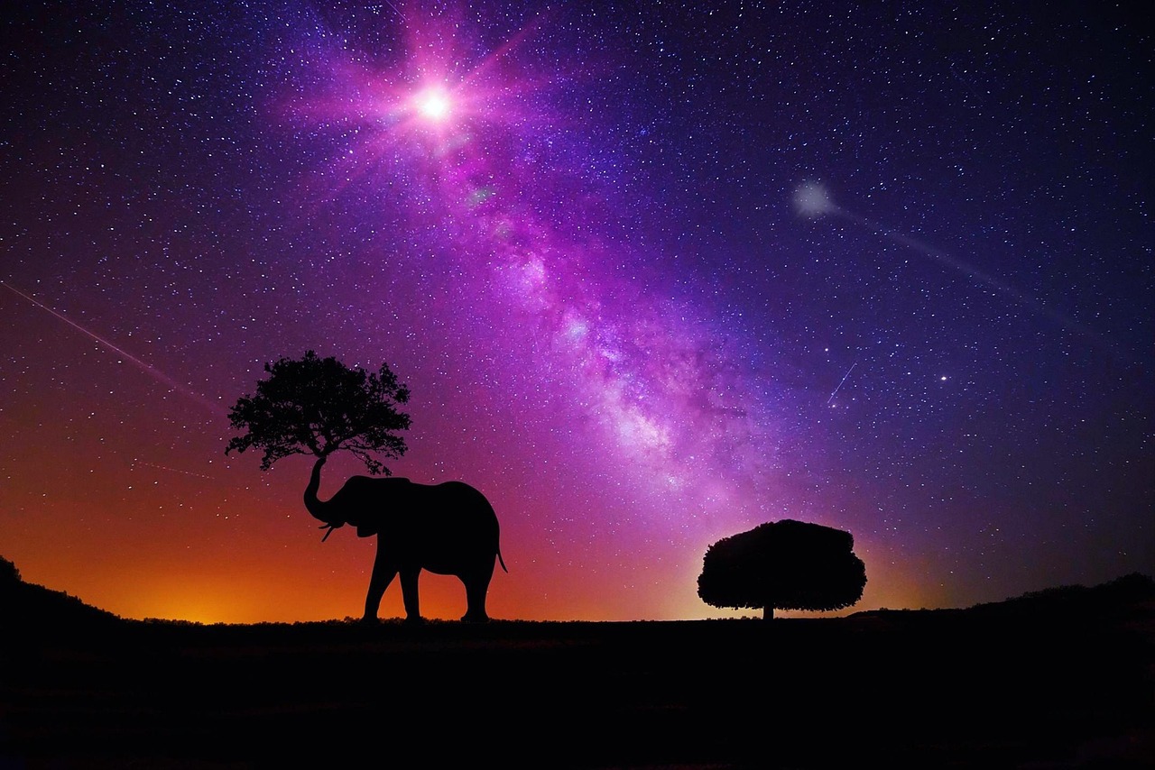猜明星图，视觉与智力的双重挑战盛宴