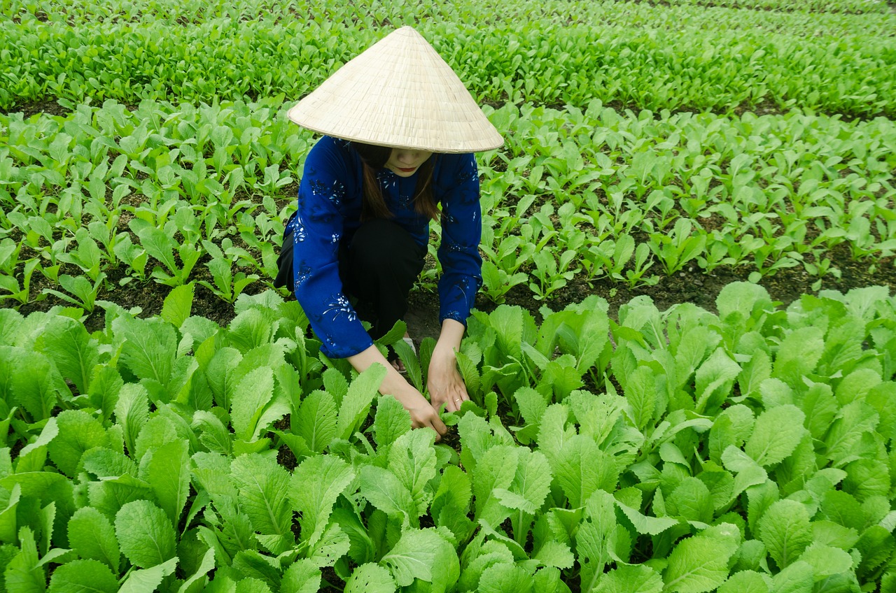 开平潭江新城最新消息概览，最新动态与发展概述