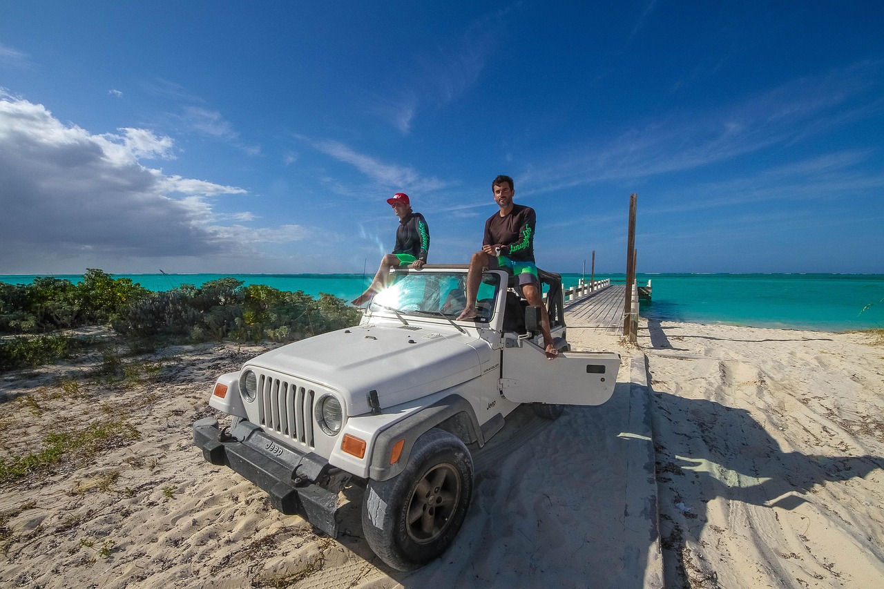 Surf最新VIP版，极致冲浪之旅的探索体验