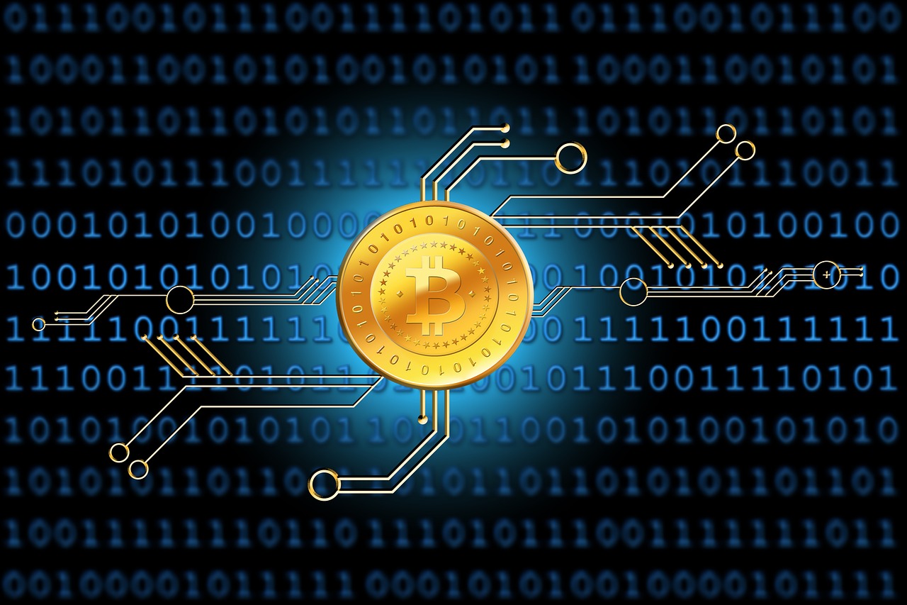 韩国最新伦理片排行，深度解读与排行概览