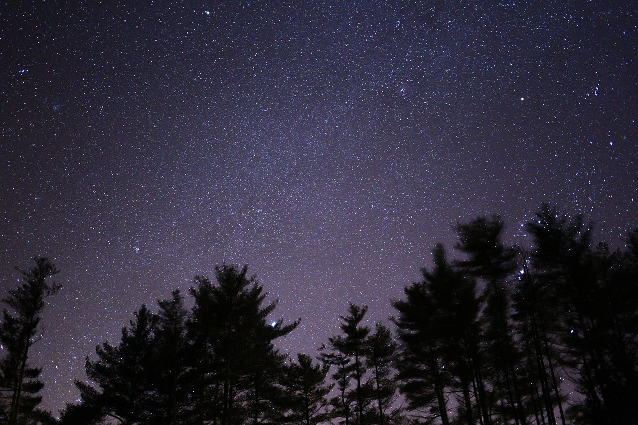 娱乐圈璀璨星辰，热门明星排行榜探索