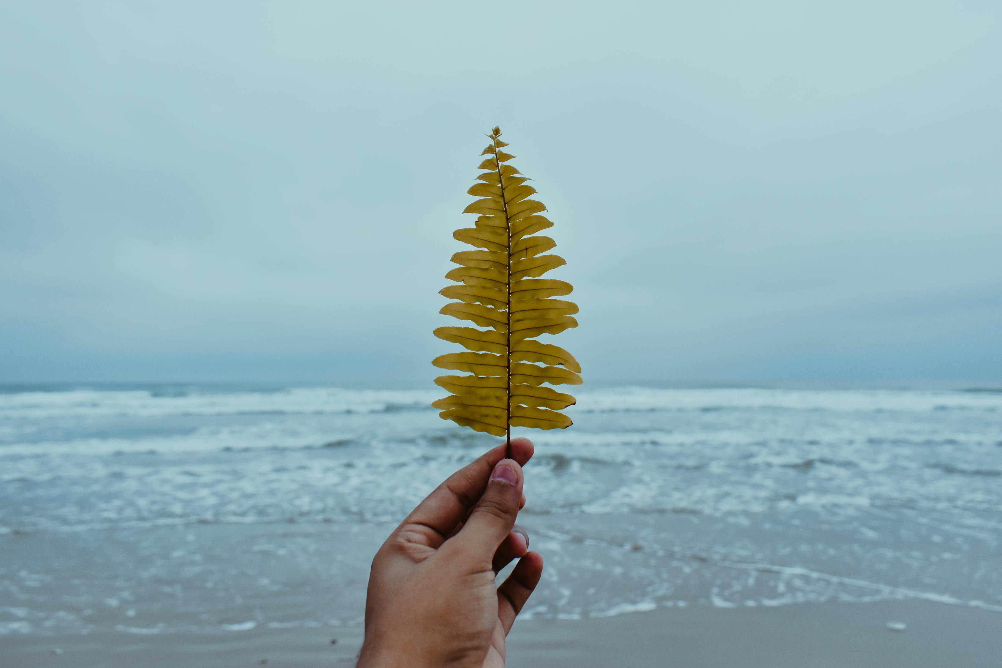 海洋王最新资讯，引领海洋科技前沿发展动态