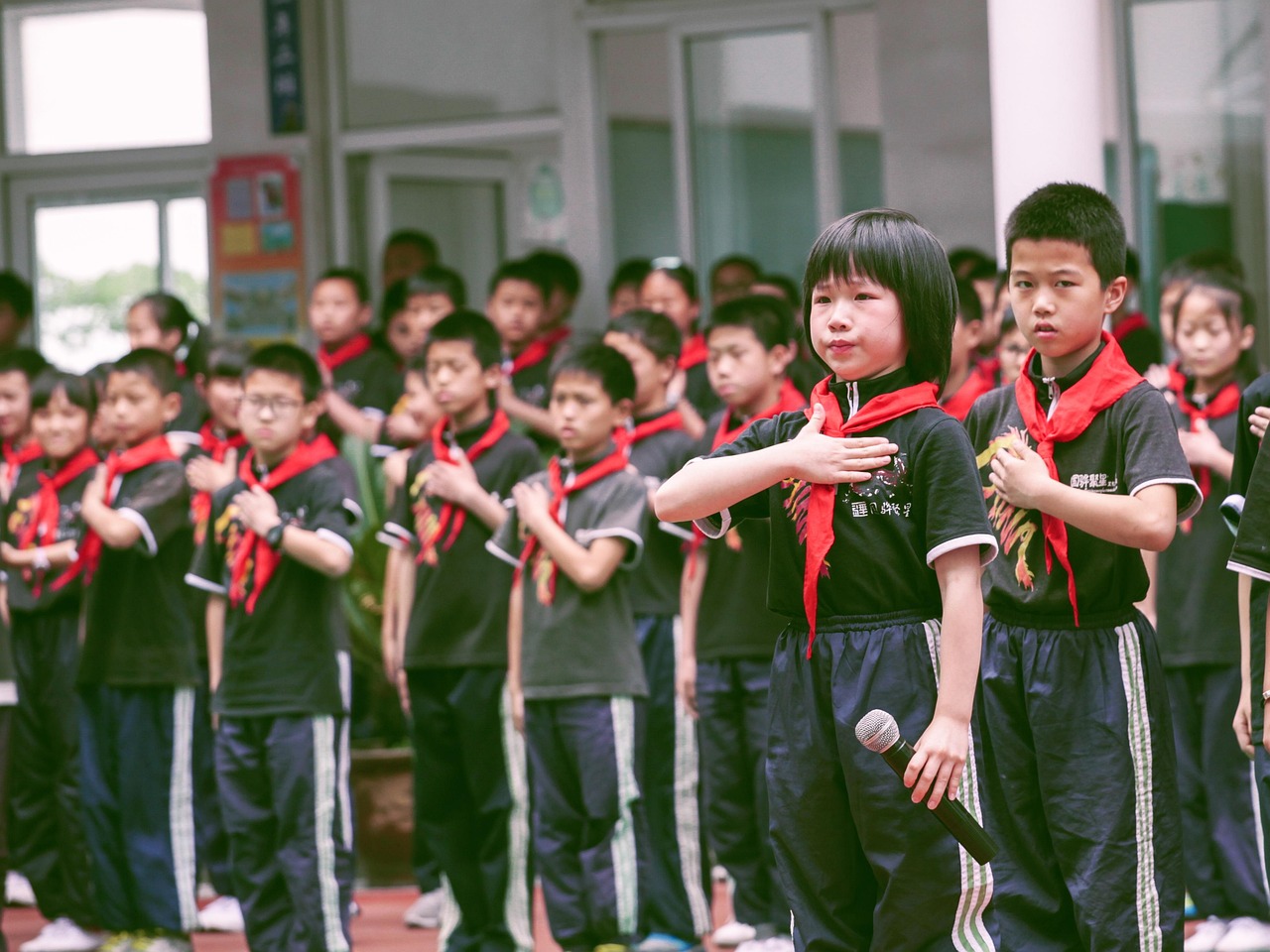 最新小学生资源种子助力学生全面发展，全方位培育新时代小学生潜能的种子资源库