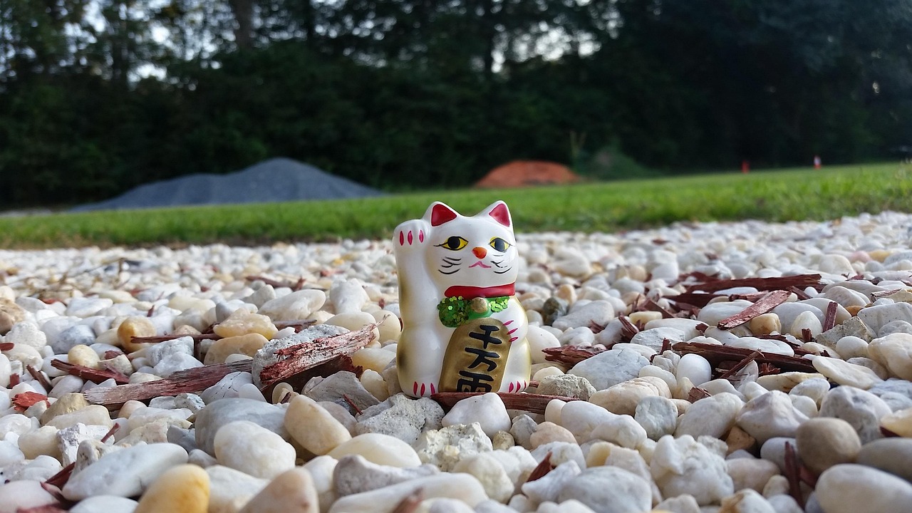 小动物动漫，荧幕至心灵的温馨触动