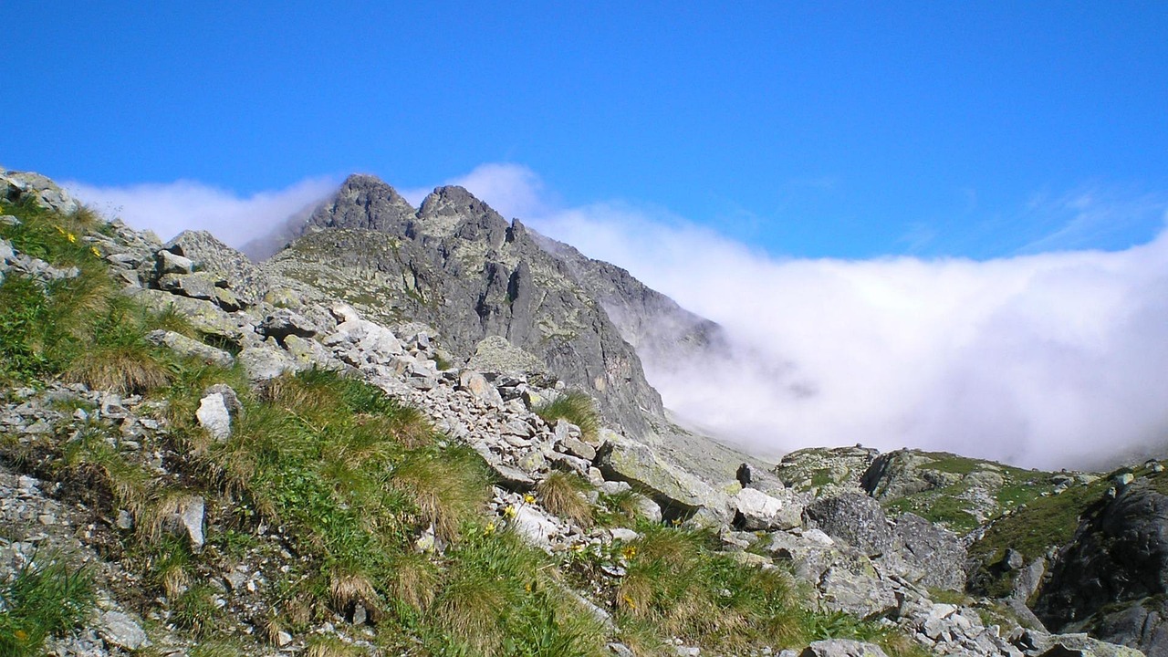 齐山风景区门票价格详解及攻略