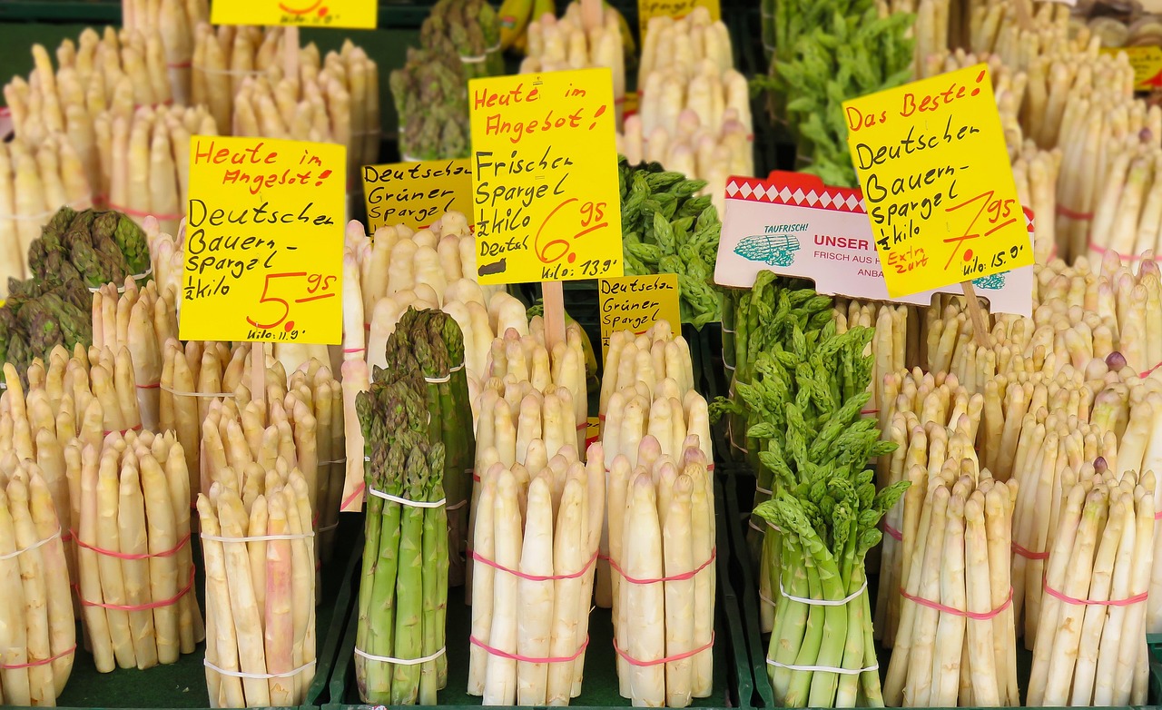 鹰嘴豆价格及其市场分析