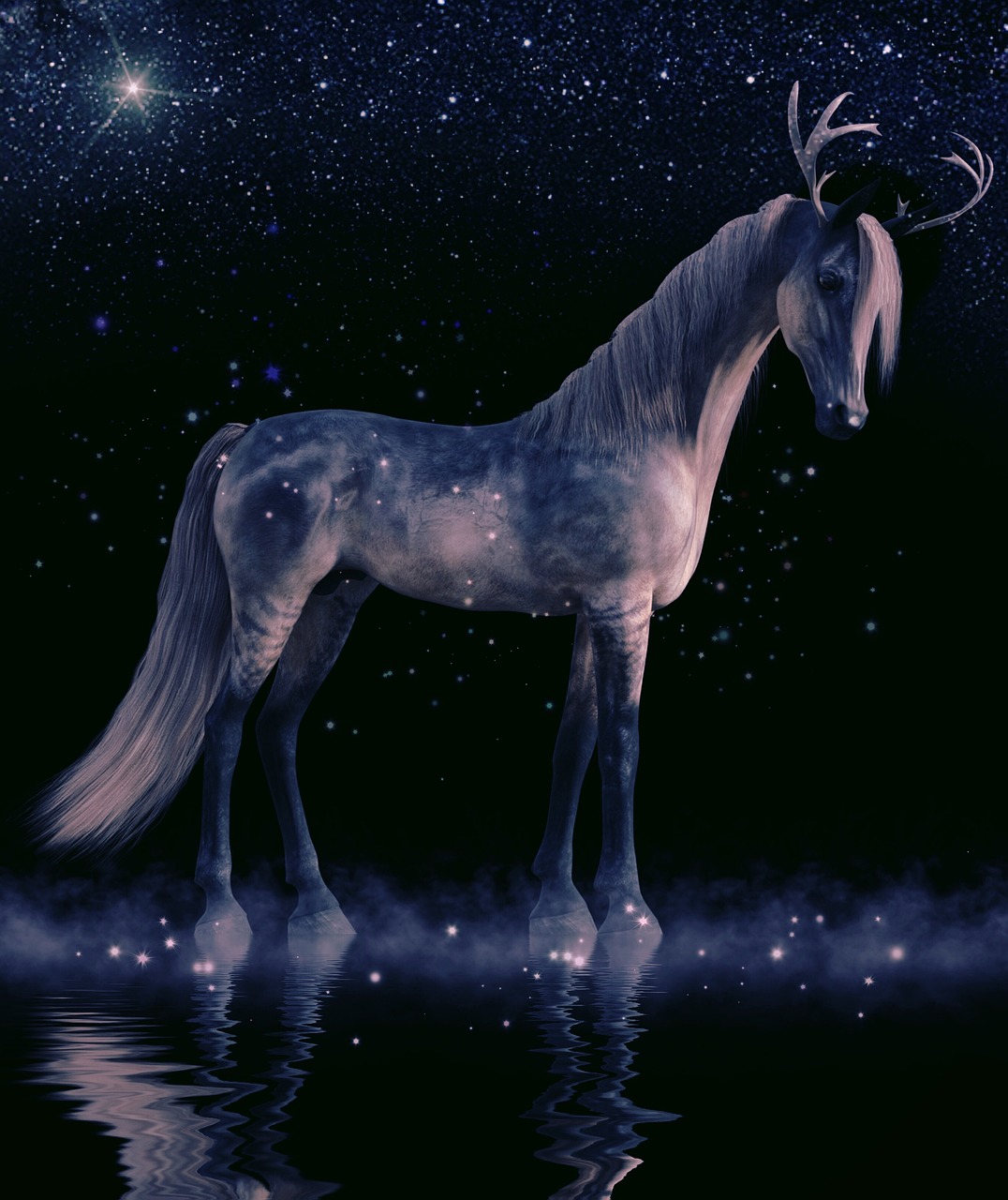 驴明星，星光下的坚韧传奇与非凡荣耀