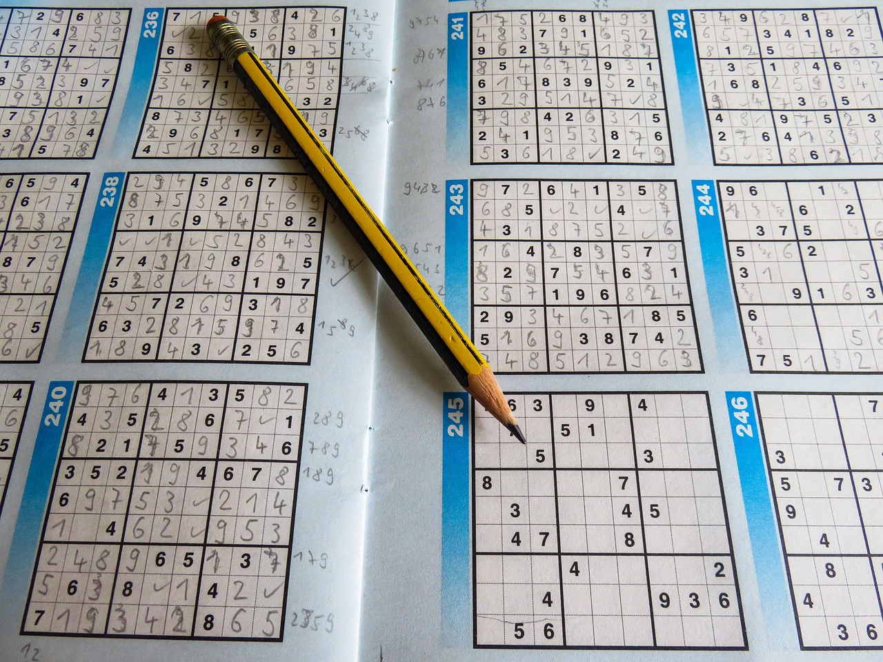 拨河比赛的精彩瞬间与感悟作文400字