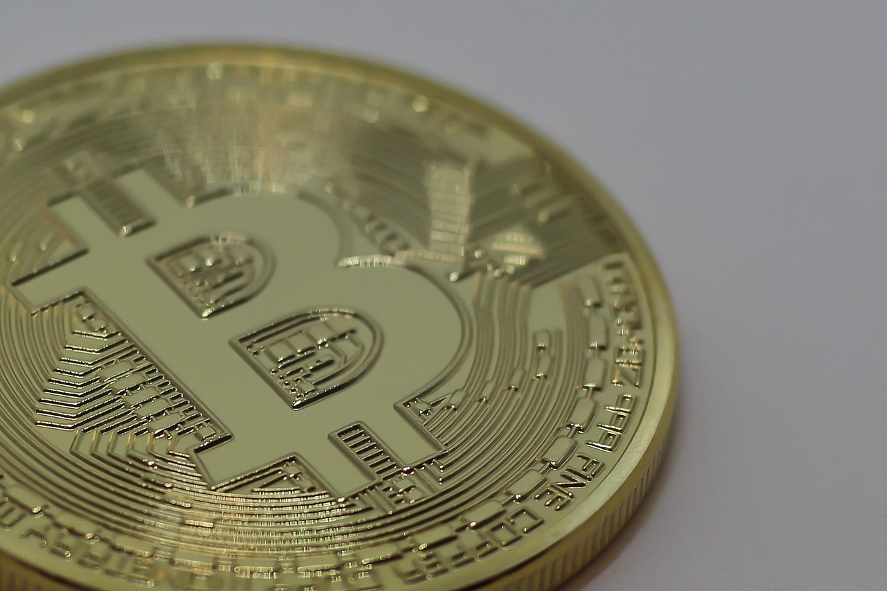 猪的行情价格最新动态与走势深度分析