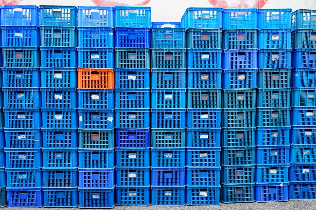 荷兰牛栏最新动态，引领全球乳业创新与发展风潮