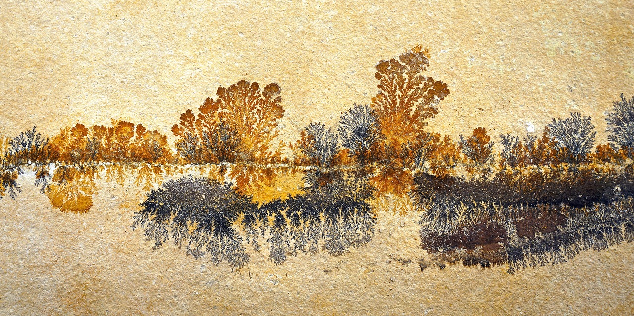 最新小寒图片，展现节气之美与文化内涵