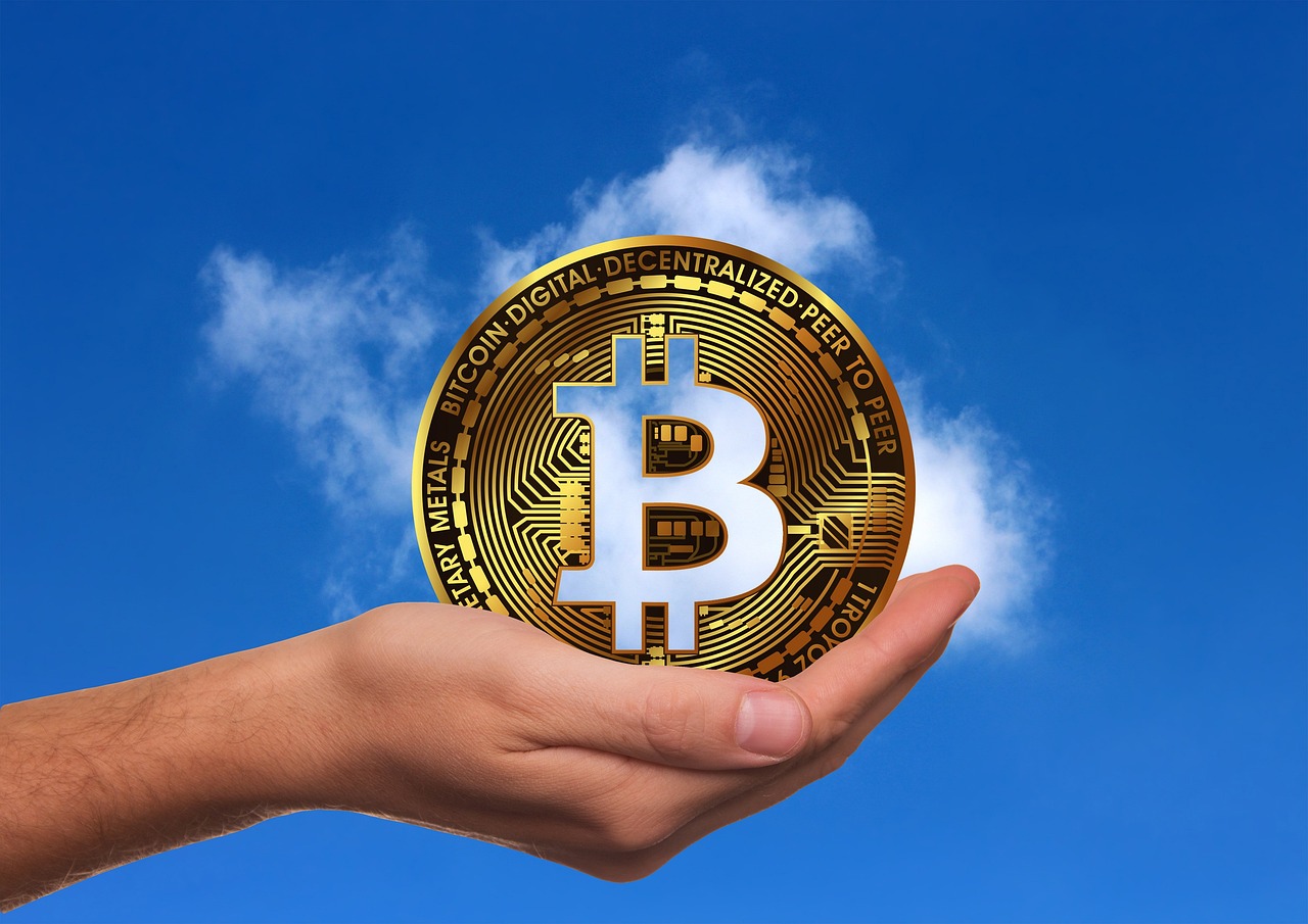 蛋白玉价格行情解析与趋势分析