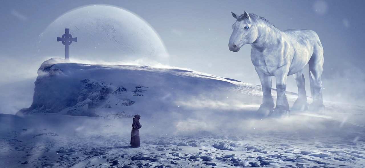 二次元探秘，雪动漫中的魔法与魅力
