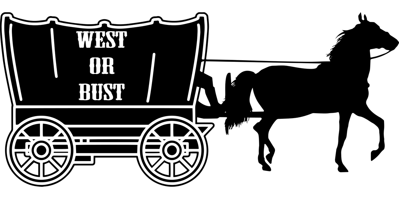 周仁强最新动态揭秘，引领前沿科技，行业创新先锋