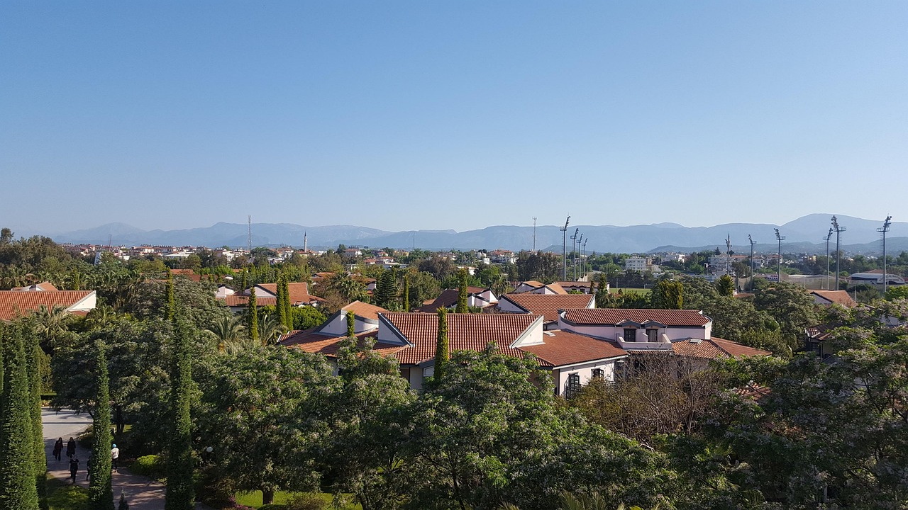 新建区村建办最新公告，村庄规划与建设的最新动态