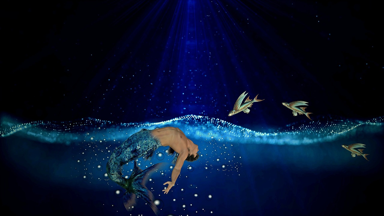 青春光影下的明星校园故事