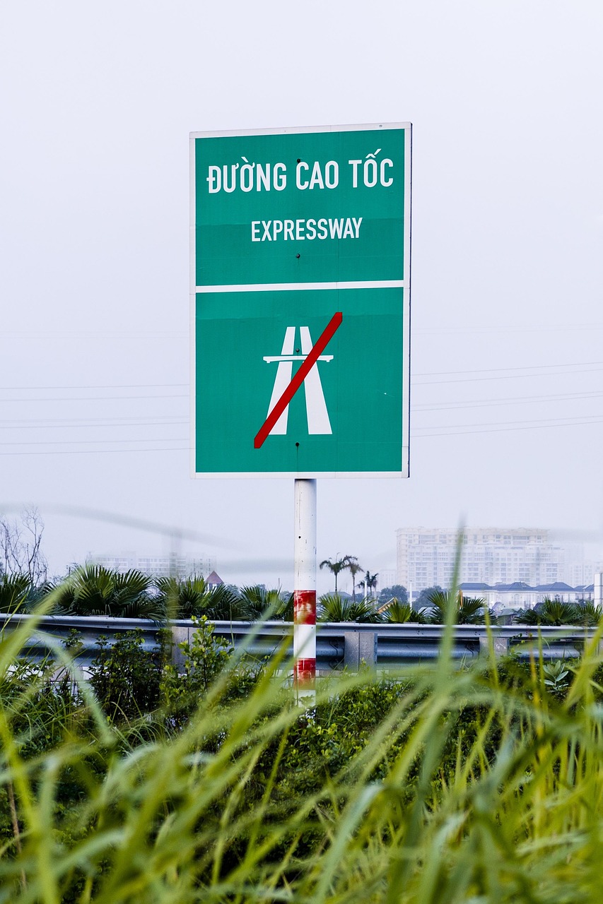 益阳新鲜资讯，城市脉搏与新闻动态速递