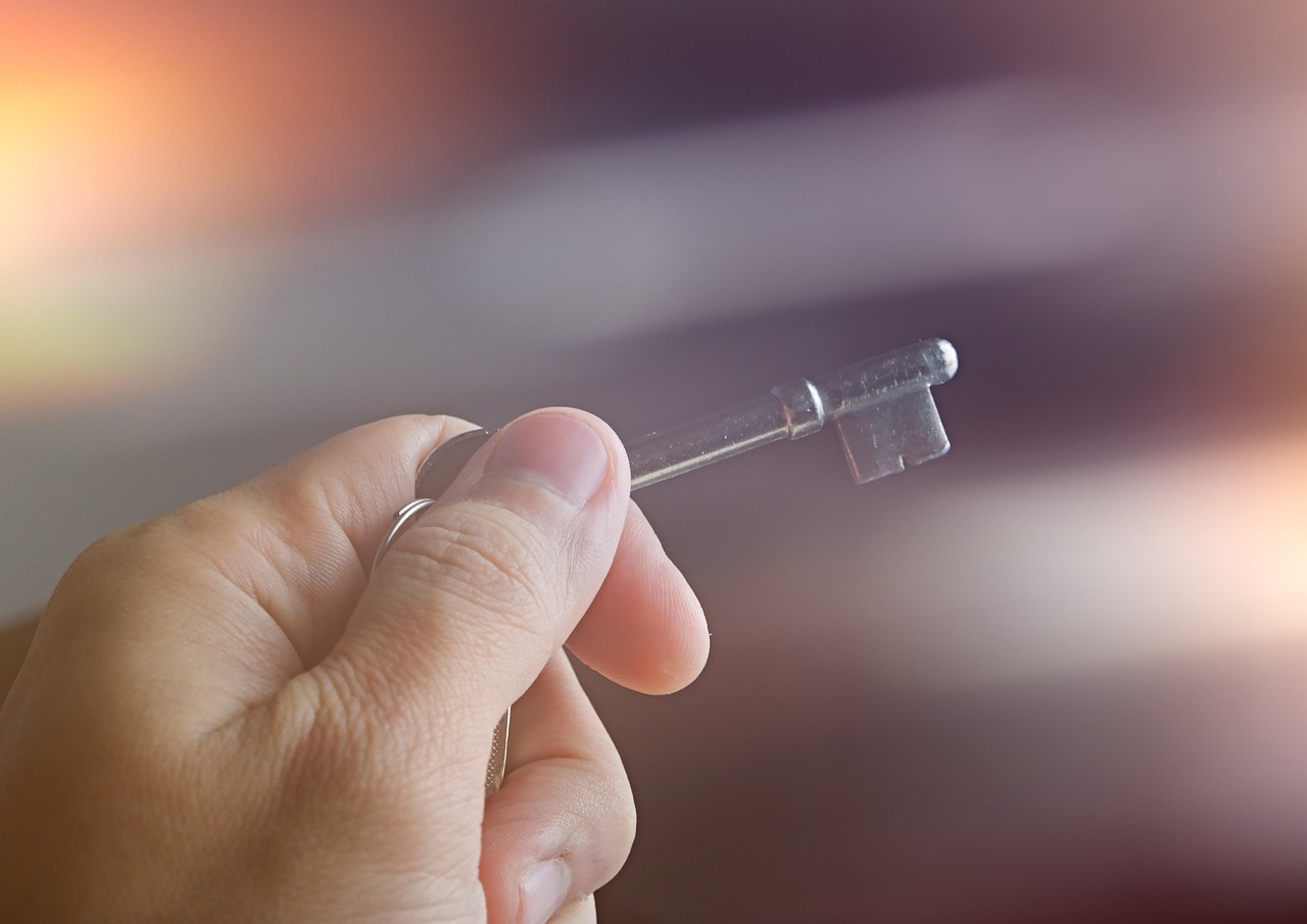人血白蛋白价格深度探讨与解析