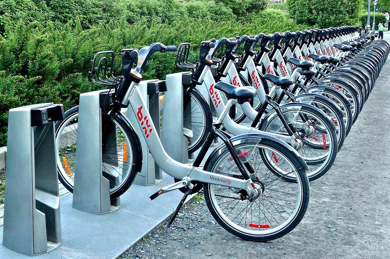 两轮电动车电机价格及市场趋势分析
